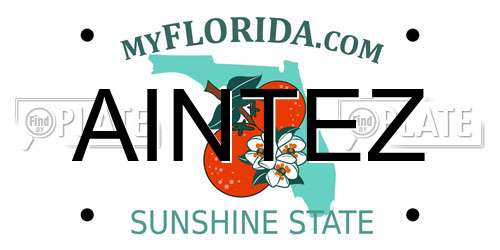 AINTEZ Florida License Plate
