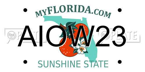 AIOW23 Florida License Plate