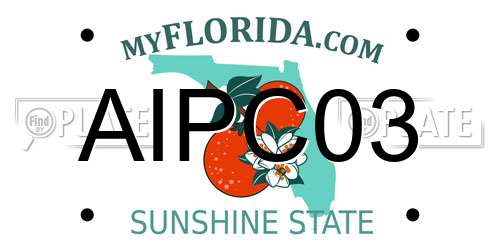 AIPC03 Florida License Plate