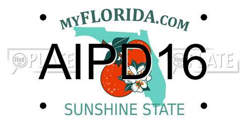 AIPD16 Florida License Plate
