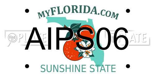 AIPS06 Florida License Plate