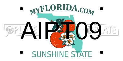AIPT09 Florida License Plate