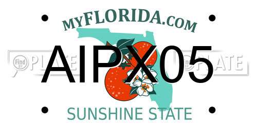 AIPX05 Florida License Plate