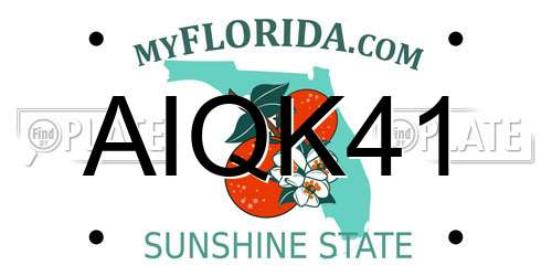 AIQK41 Florida License Plate