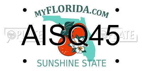 AISQ45 Florida License Plate