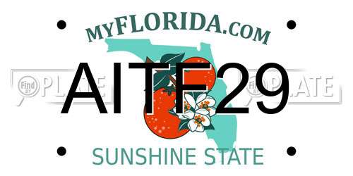 AITF29 Florida License Plate