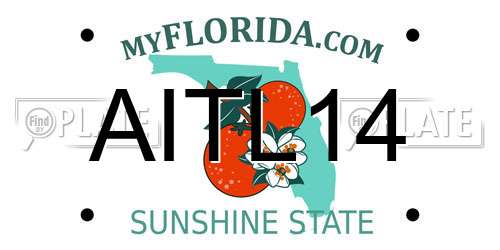 AITL14 Florida License Plate