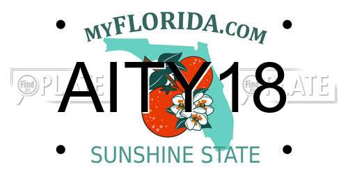 AITY18 Florida License Plate