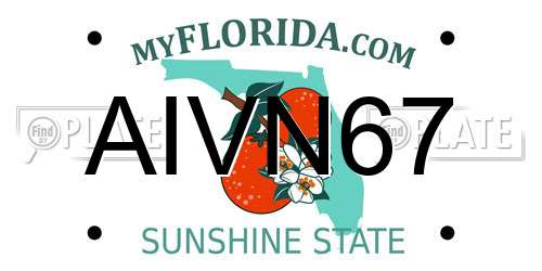 AIVN67 Florida License Plate