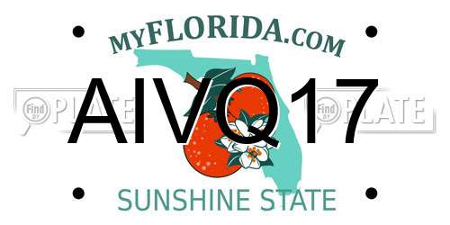 AIVQ17 Florida License Plate