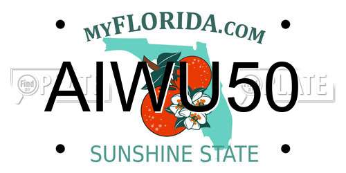 AIWU50 Florida License Plate