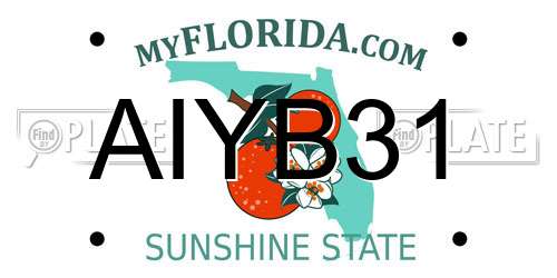 AIYB31 Florida License Plate