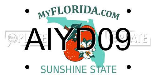 AIYD09 Florida License Plate