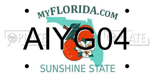 AIYG04 Florida License Plate