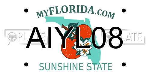 AIYL08 Florida License Plate