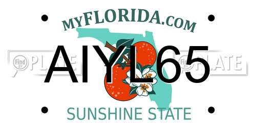 AIYL65 Florida License Plate