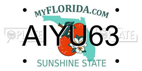 AIYU63 Florida License Plate