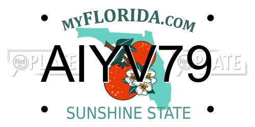 AIYV79 Florida License Plate