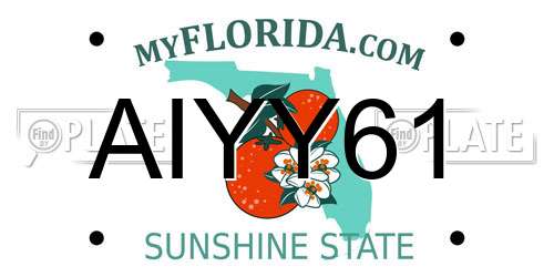 AIYY61 Florida License Plate