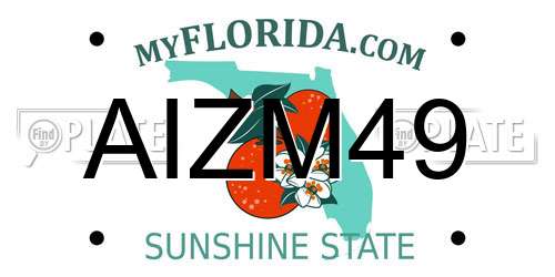 AIZM49 Florida License Plate