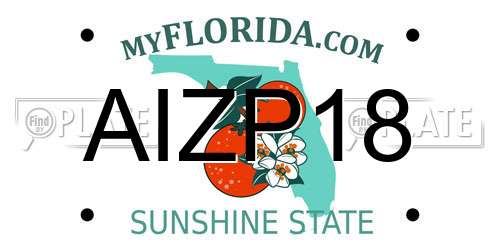 AIZP18 Florida License Plate
