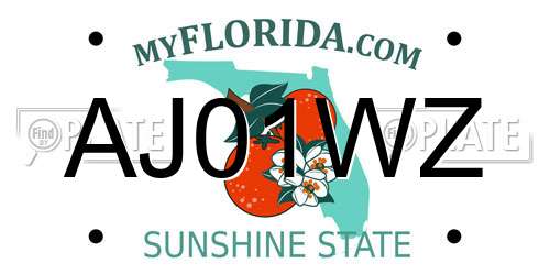 AJ01WZ Florida License Plate