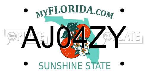 AJ04ZY Florida License Plate