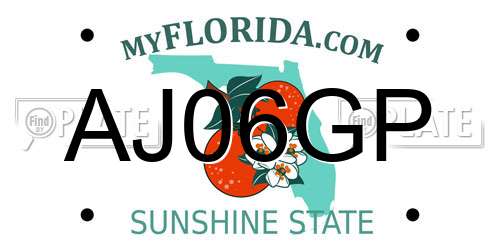 AJ06GP Florida License Plate