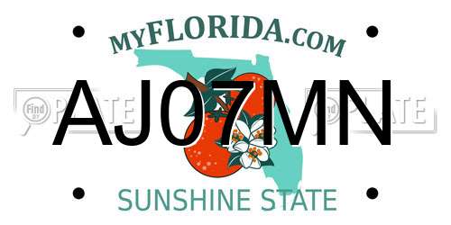 AJ07MN Florida License Plate