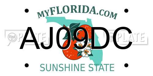 AJ09DC Florida License Plate