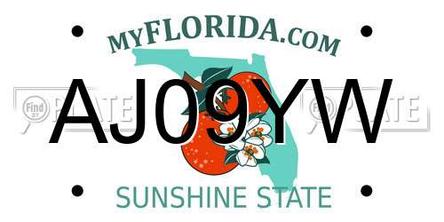AJ09YW Florida License Plate