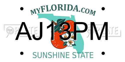 AJ13PM Florida License Plate