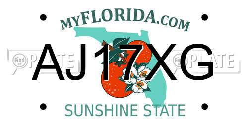 AJ17XG Florida License Plate
