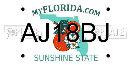 AJ18BJ Florida License Plate