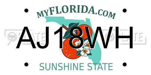 AJ18WH Florida License Plate