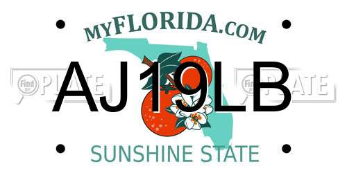 AJ19LB Florida License Plate