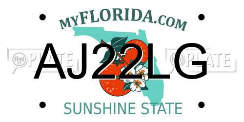 AJ22LG Florida License Plate