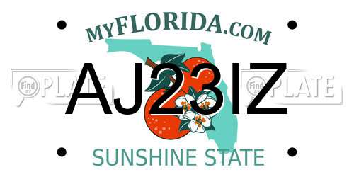 AJ23IZ Florida License Plate