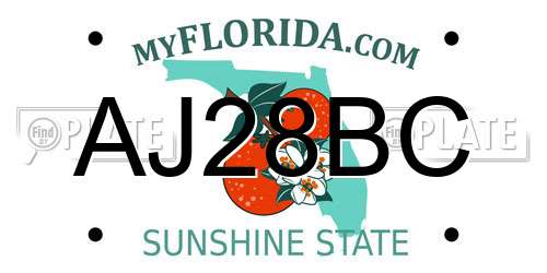 AJ28BC Florida License Plate