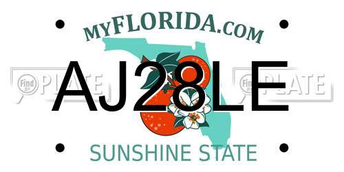 AJ28LE Florida License Plate