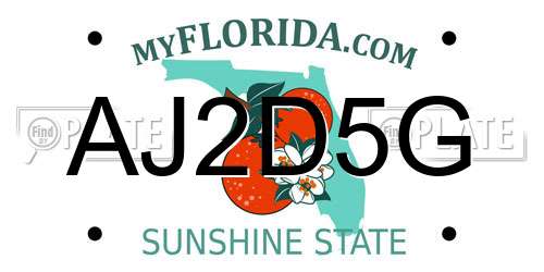 AJ2D5G Florida License Plate