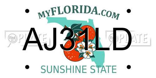 AJ31LD Florida License Plate