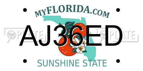 AJ36ED Florida License Plate