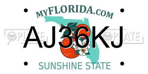 AJ36KJ Florida License Plate