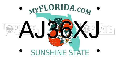 AJ36XJ Florida License Plate
