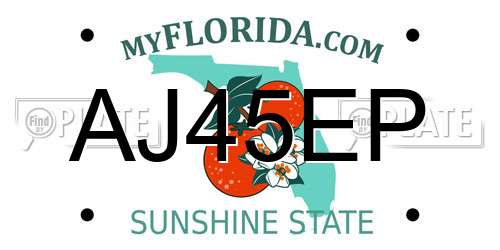 AJ45EP Florida License Plate