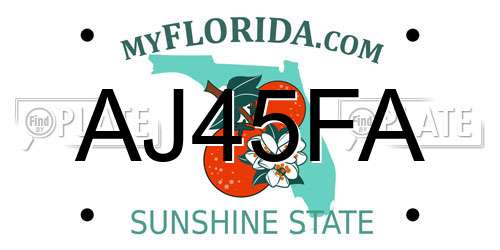 AJ45FA Florida License Plate