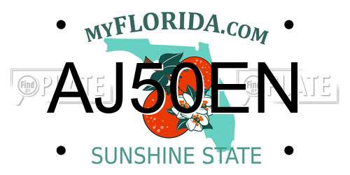 AJ50EN Florida License Plate