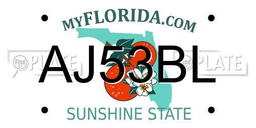 AJ53BL Florida License Plate