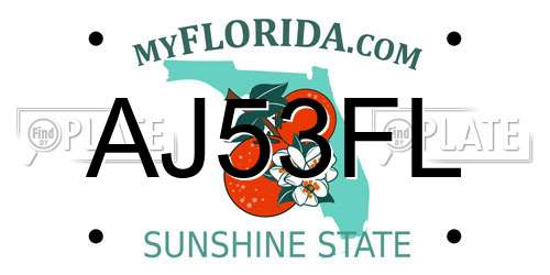 AJ53FL Florida License Plate